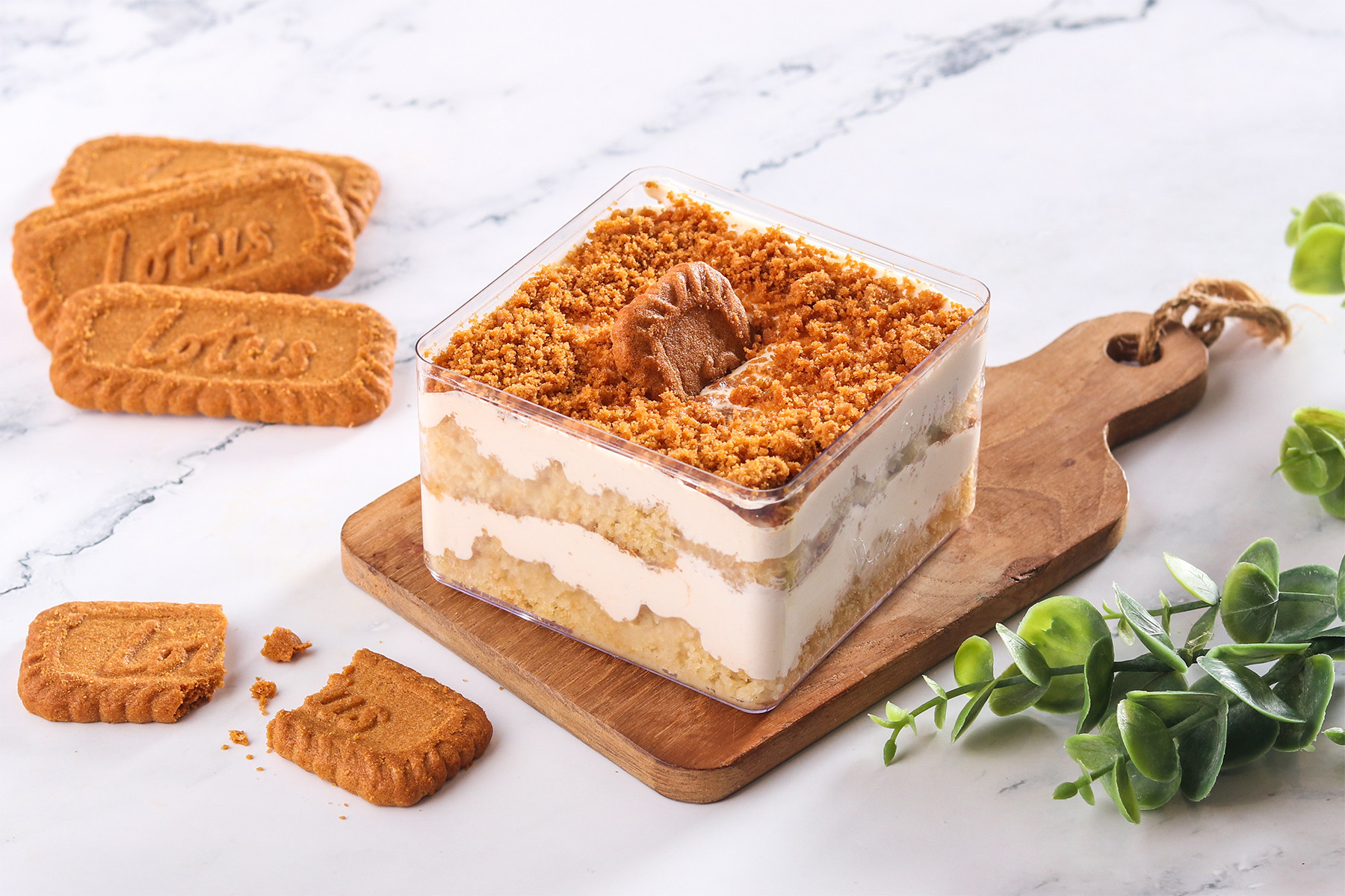 Lotus Biscoff Cheesecake Tub [300 g]